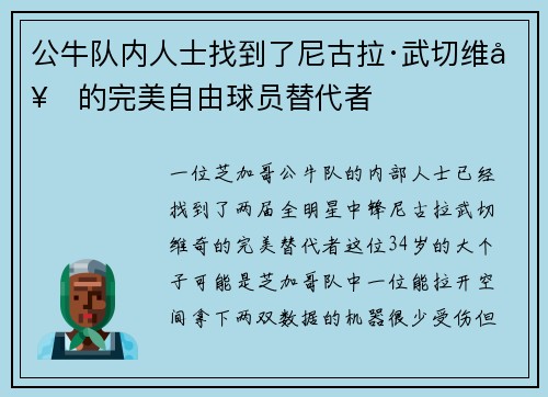 公牛队内人士找到了尼古拉·武切维奇的完美自由球员替代者
